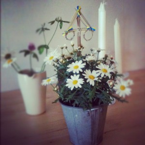 Midsommar plant over at mum's